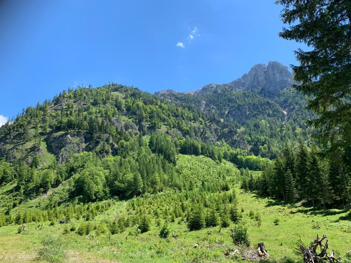 Apartment Kumitzblick Obersdorf Exteriér fotografie